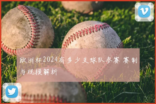 欧洲杯2024有多少支球队参赛 赛制与规模解析