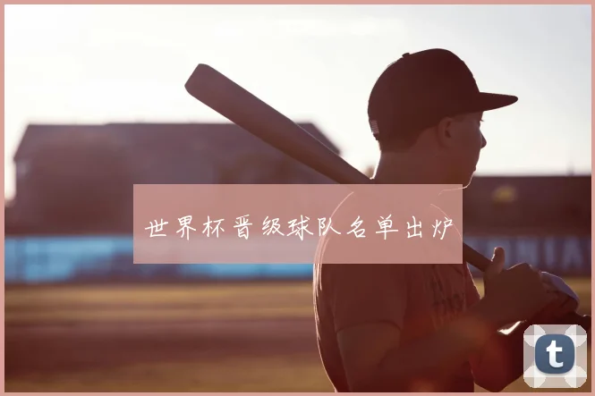 世界杯晋级球队名单出炉