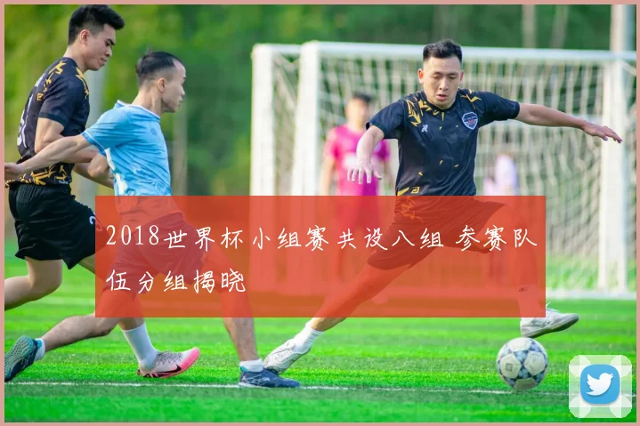 2018世界杯小组赛共设八组 参赛队伍分组揭晓