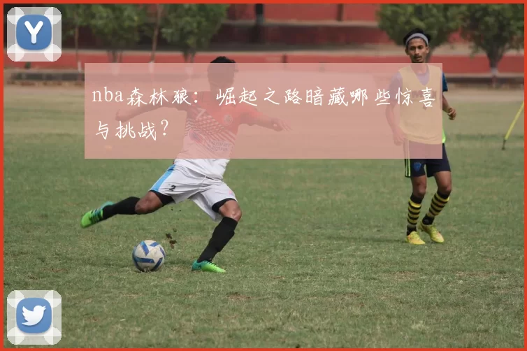 nba森林狼:崛起之路暗藏哪些惊喜与挑战?